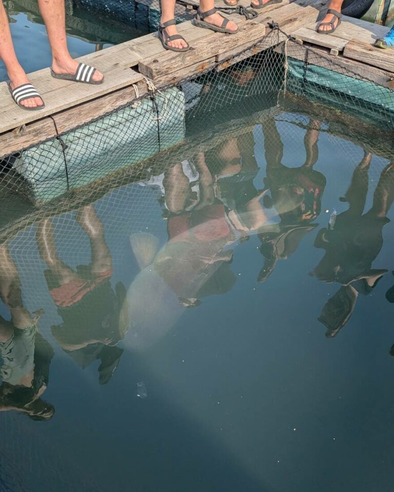 croisière dans la baie d'halong