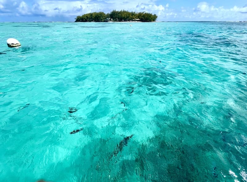 île maurice en famille île au 2 cocos