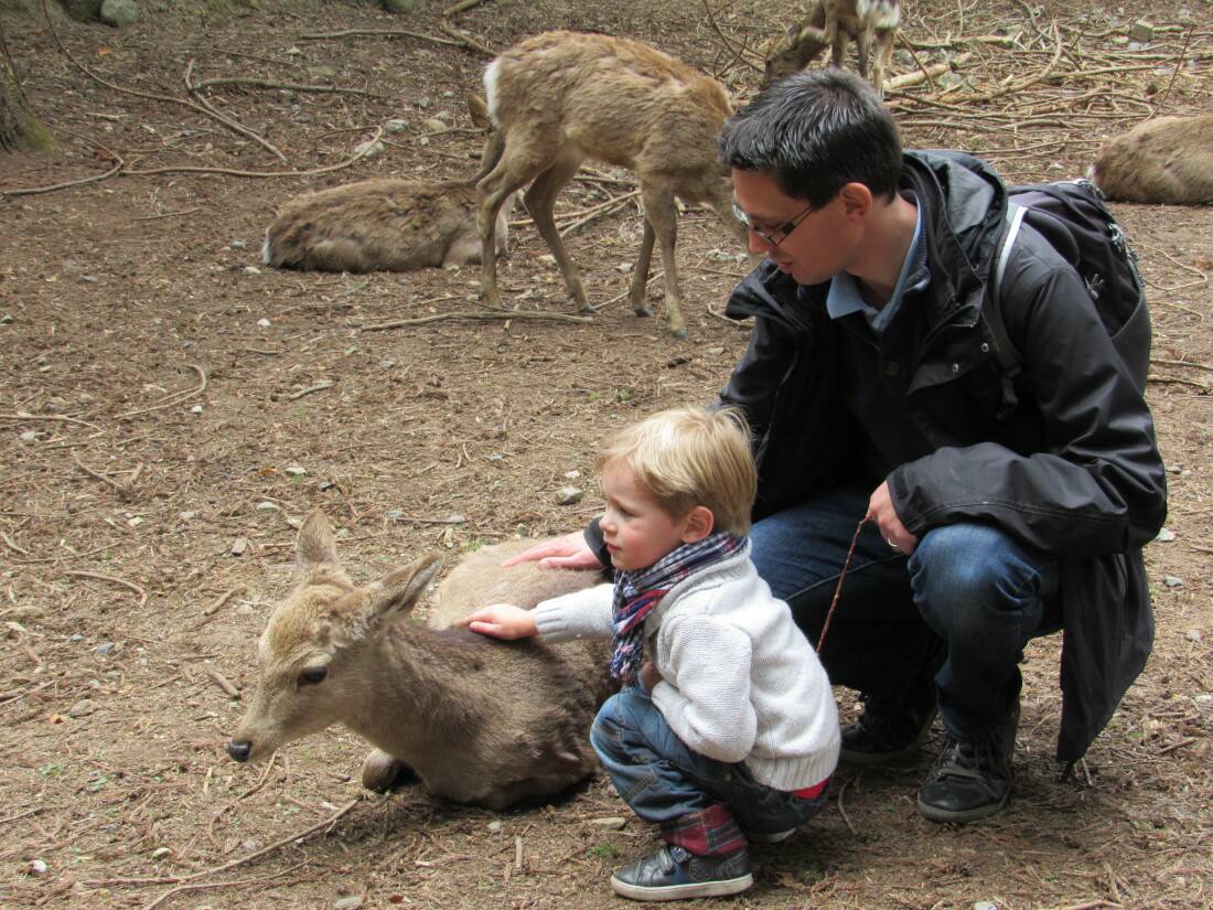 Voyage au Japon en famille